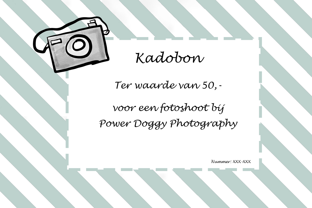 Kadobon voorbeeld voor een fotoshoot ter waarde van 30,-